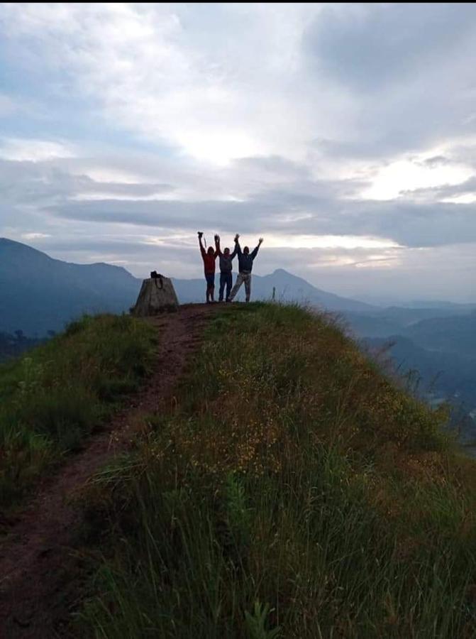 Munnar Lush Greens Dış mekan fotoğraf